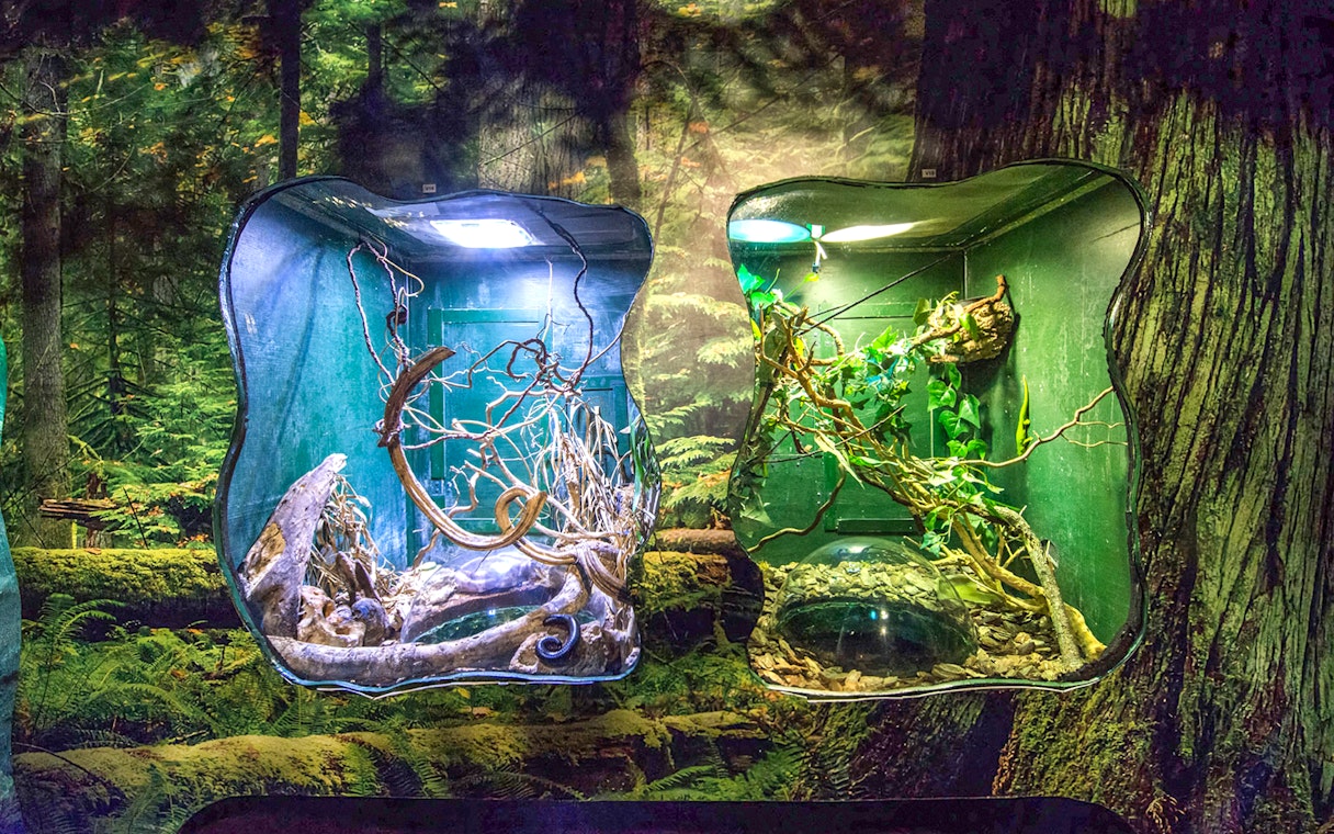 Aquarium displays with naturalistic forest habitat at Malta National Aquarium.