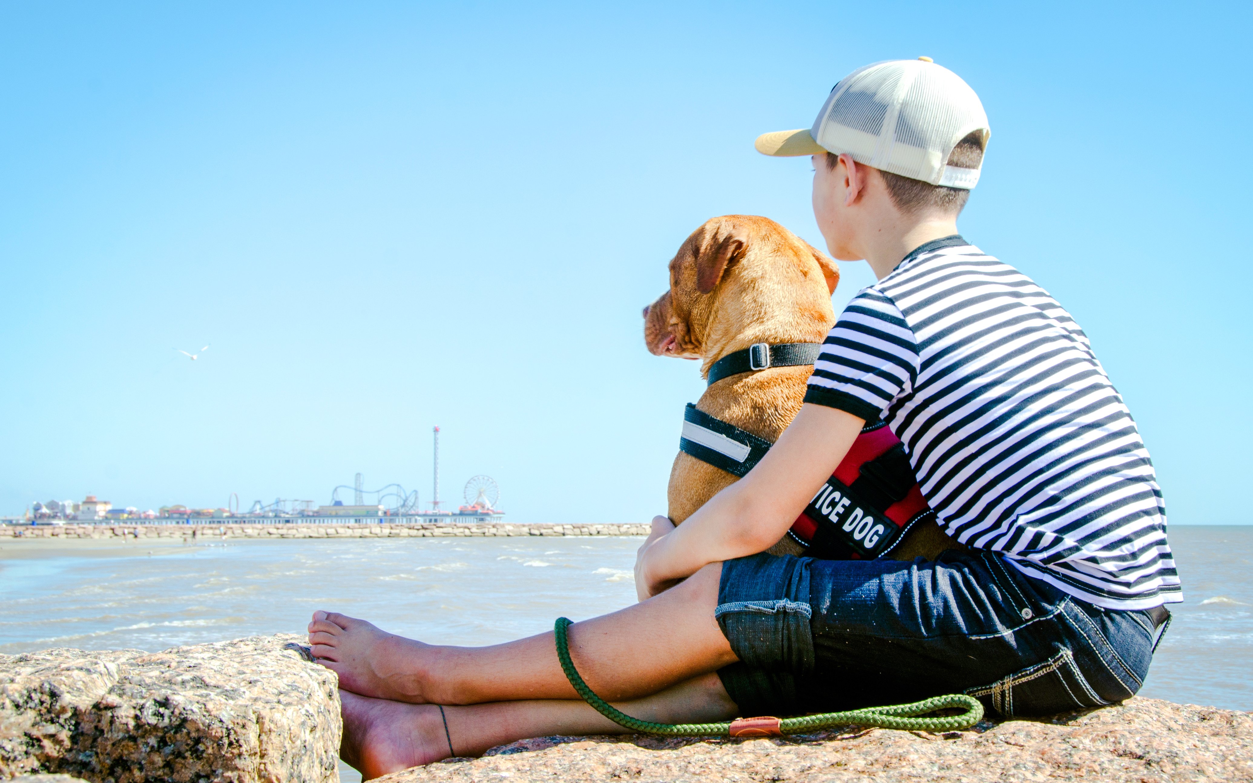 Boy with service dog sitting on rocks overlooking ocean at Secret Island Beach, Kualoa Ranch.