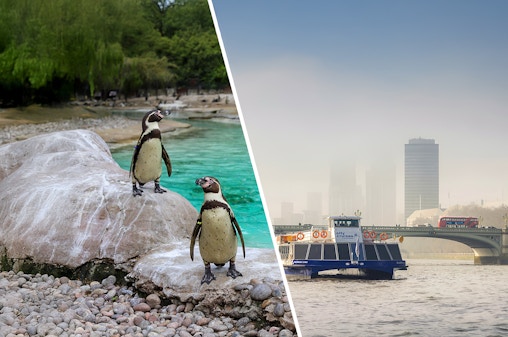 Combo (Save 16%): London Zoo Tickets + Thames River Cruise