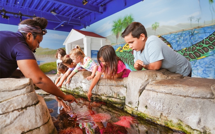 Children exploring touch pools at Sea Life Aquarium, Legoland California.