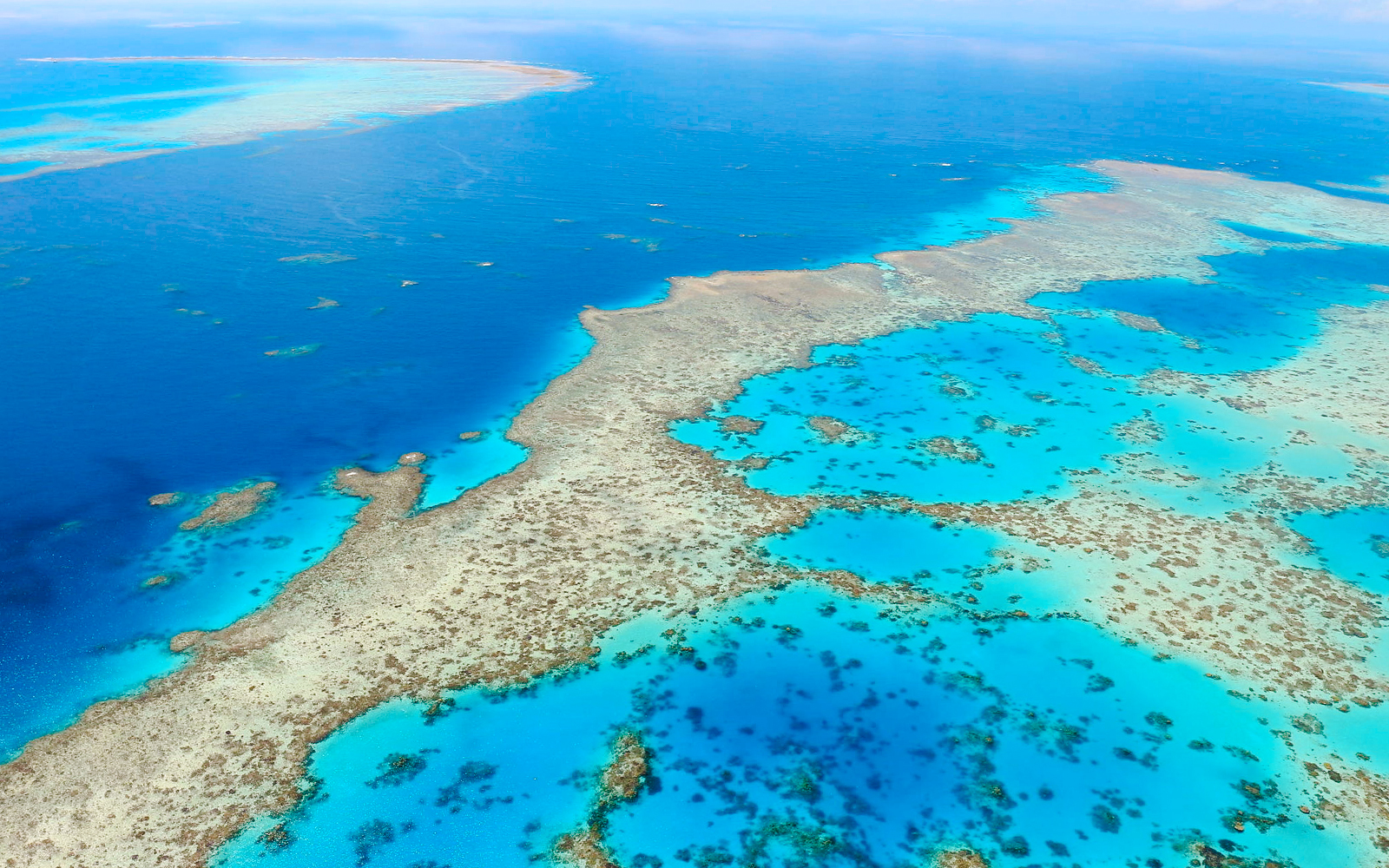 Aerial view of the Great Barrier Reef's vibrant coral formations in the Whitsundays.