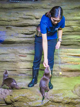 Aquaria Phuket