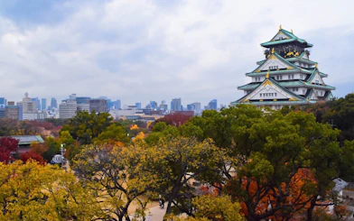 Osaka Castle 3 hours Historical Walking Tour
