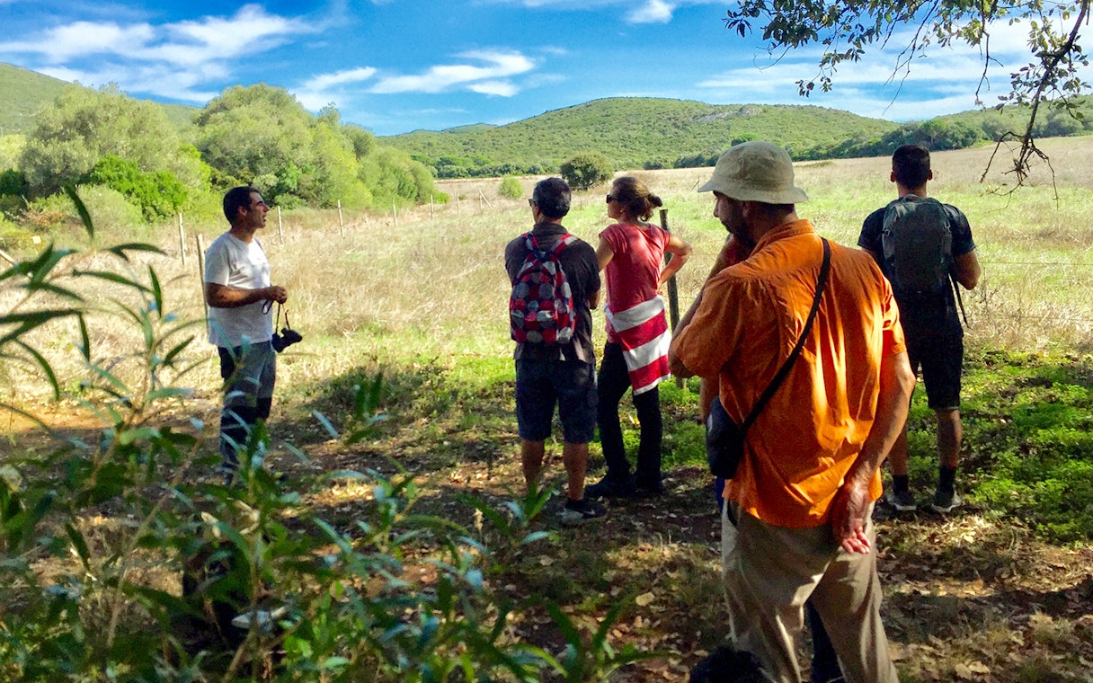 Group hiking in Arrábida Natural Park, Portugal, with scenic views of fields and hills.