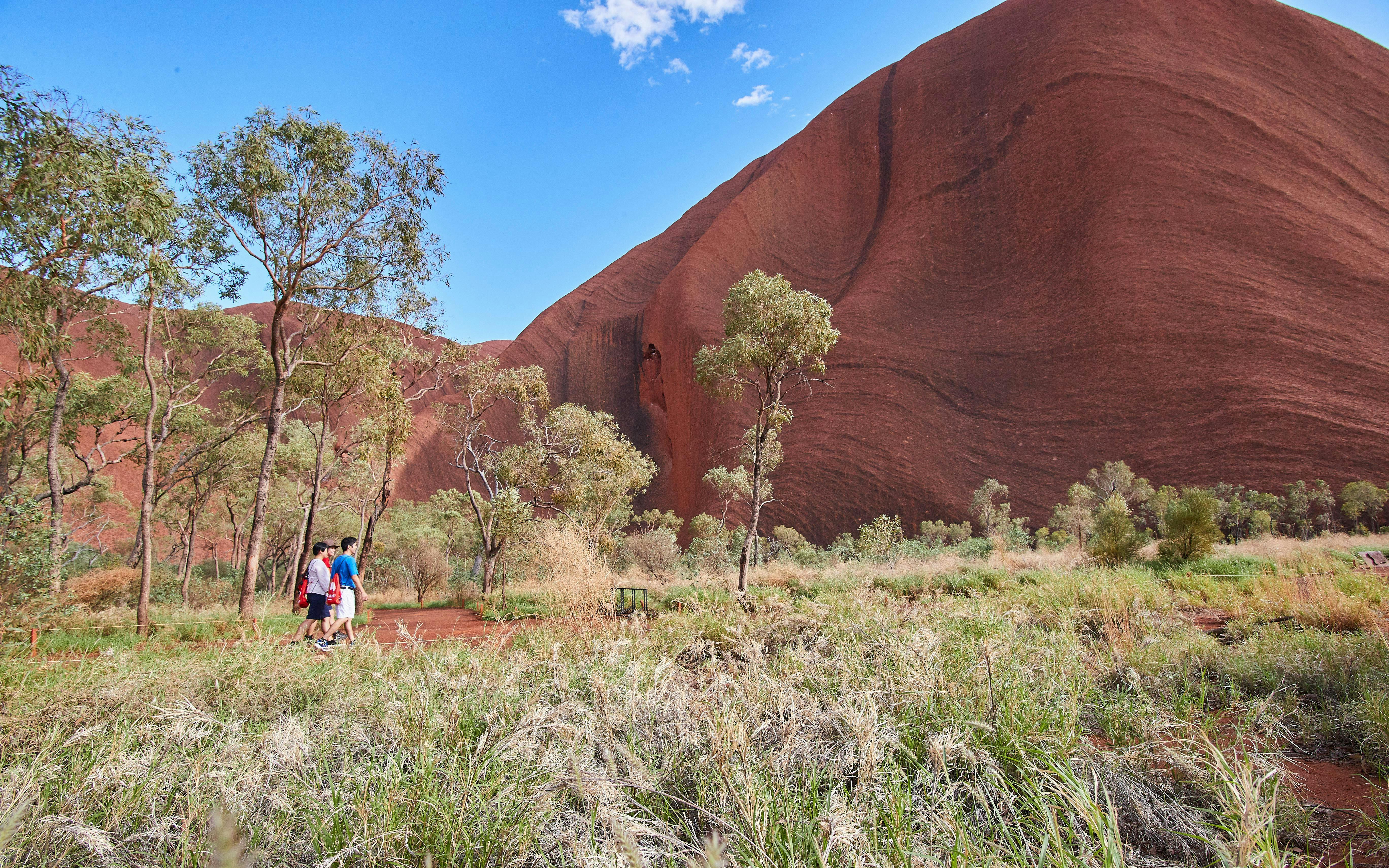 Visitors walking along a trail with Uluru in the background during a sunrise tour.