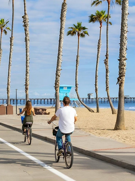 Cyclists on a beachside path with palm trees and ocean view in San Diego.