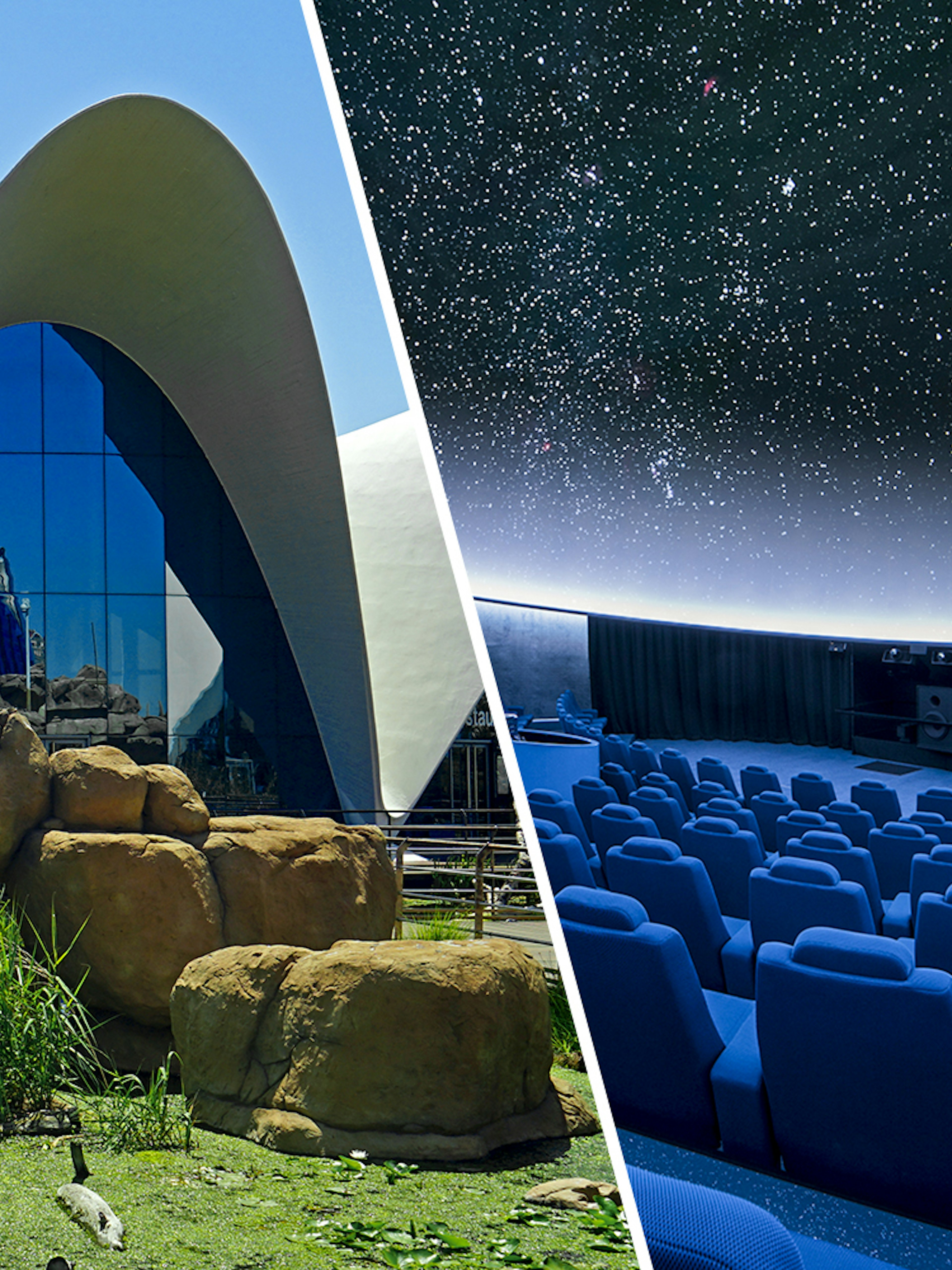 Oceanogràfic exterior and Hemisfèric planetarium interior in Valencia, Spain.