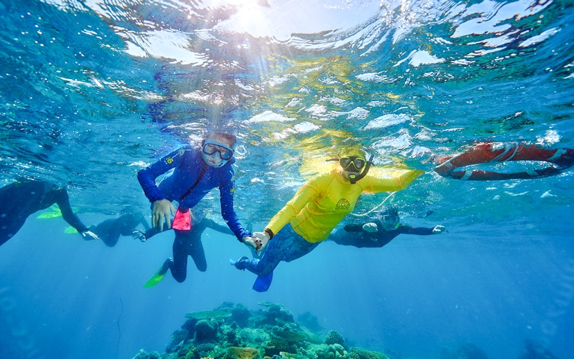 Snorkelers exploring coral reefs near Fitzroy and Green Islands.
