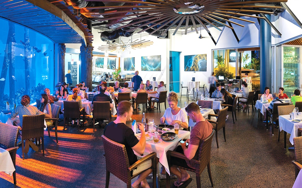 Dining area at Cairns Aquarium by Twilight with guests enjoying meals near large aquarium display.