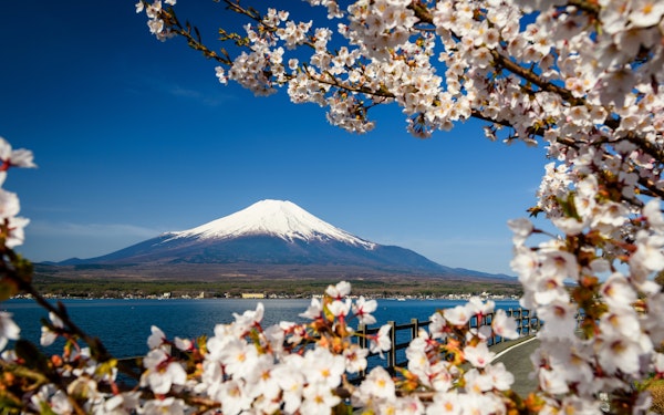 Mount Fuji Guided Day Tour with Lake Kawaguchi & Lake Yamanaka