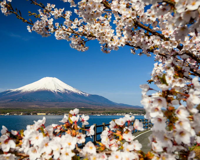 Mount Fuji Guided Day Tour with Lake Kawaguchi & Lake Yamanaka