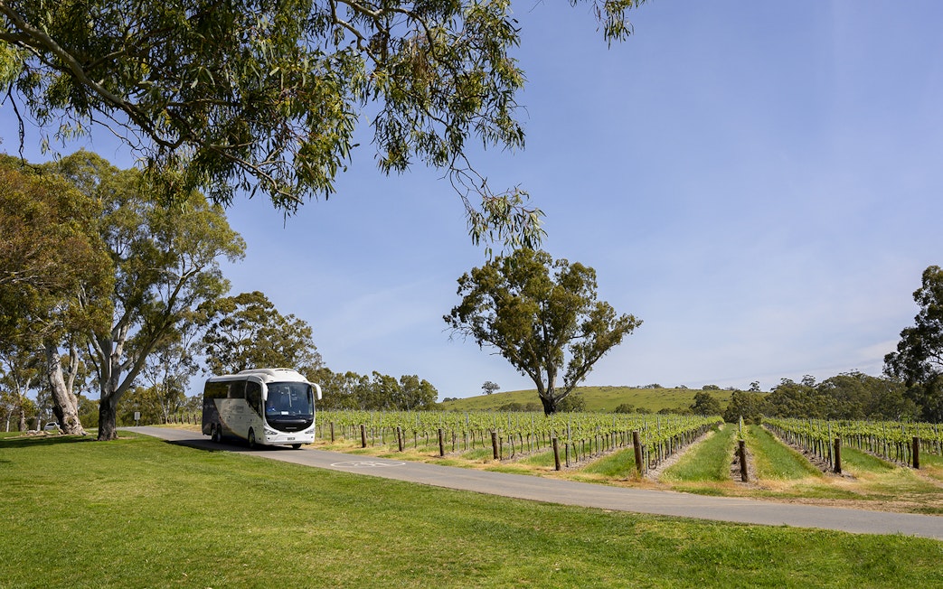 Tour bus driving through vineyards in Adelaide Hills, near Hahndorf, Australia.