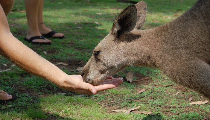 Things to do in Gold Coast