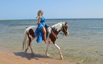 Horseback riding along Nabq Bay shoreline with sea view.