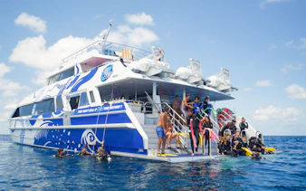 Tourists preparing to dive from a boat on the Outer Great Barrier Reef trip from Cairns.