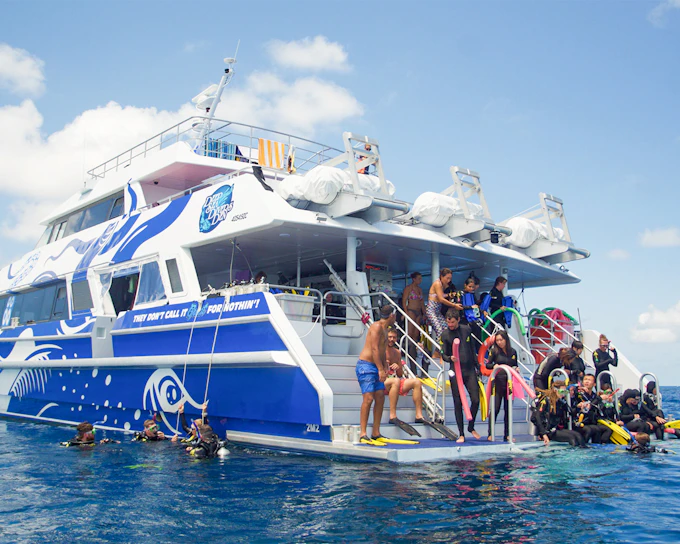 Cairns to Great Barrier Reef Full Day Cruise with Guided Snorkelling Tours