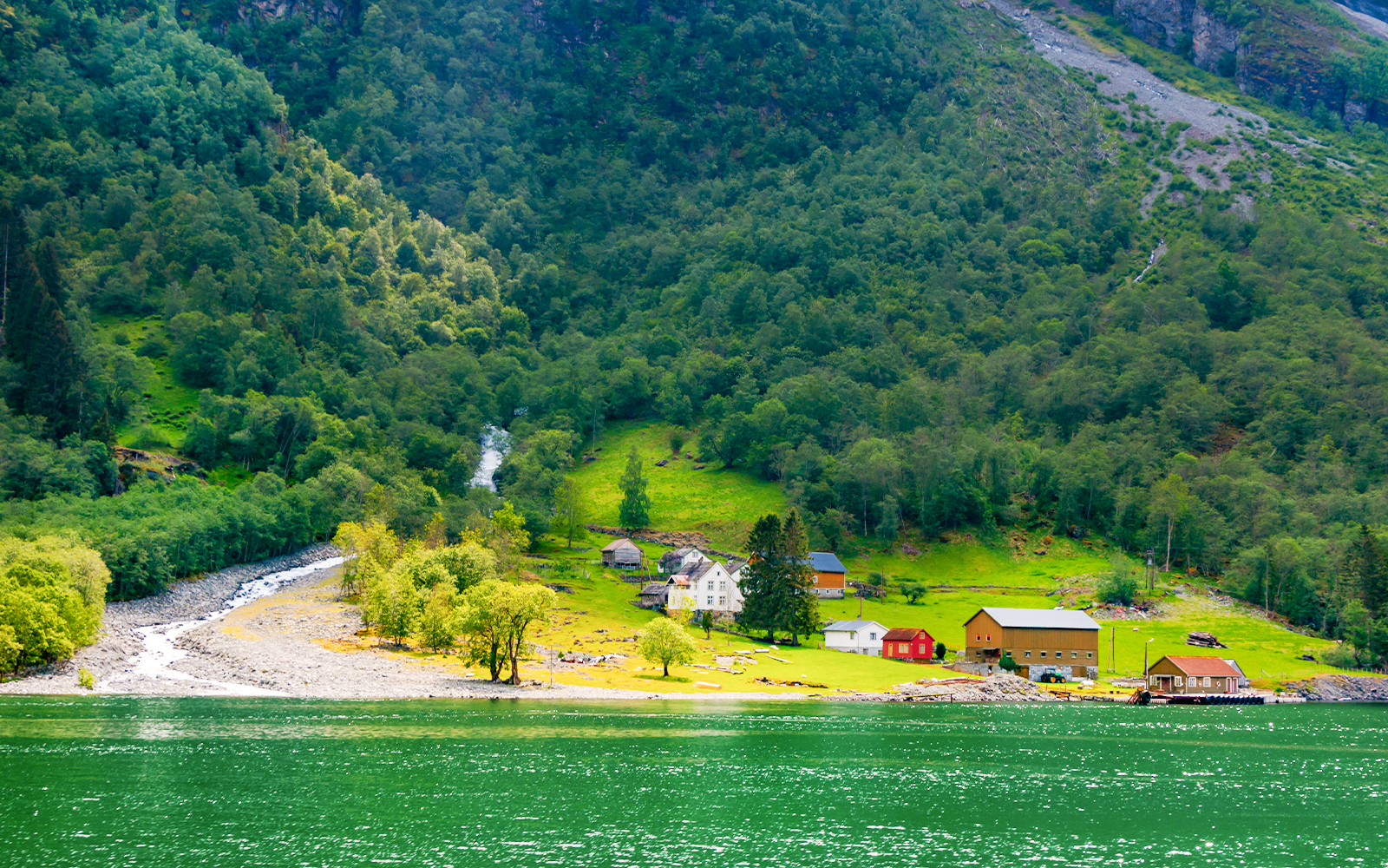 Croisière à Nærøyfjorden