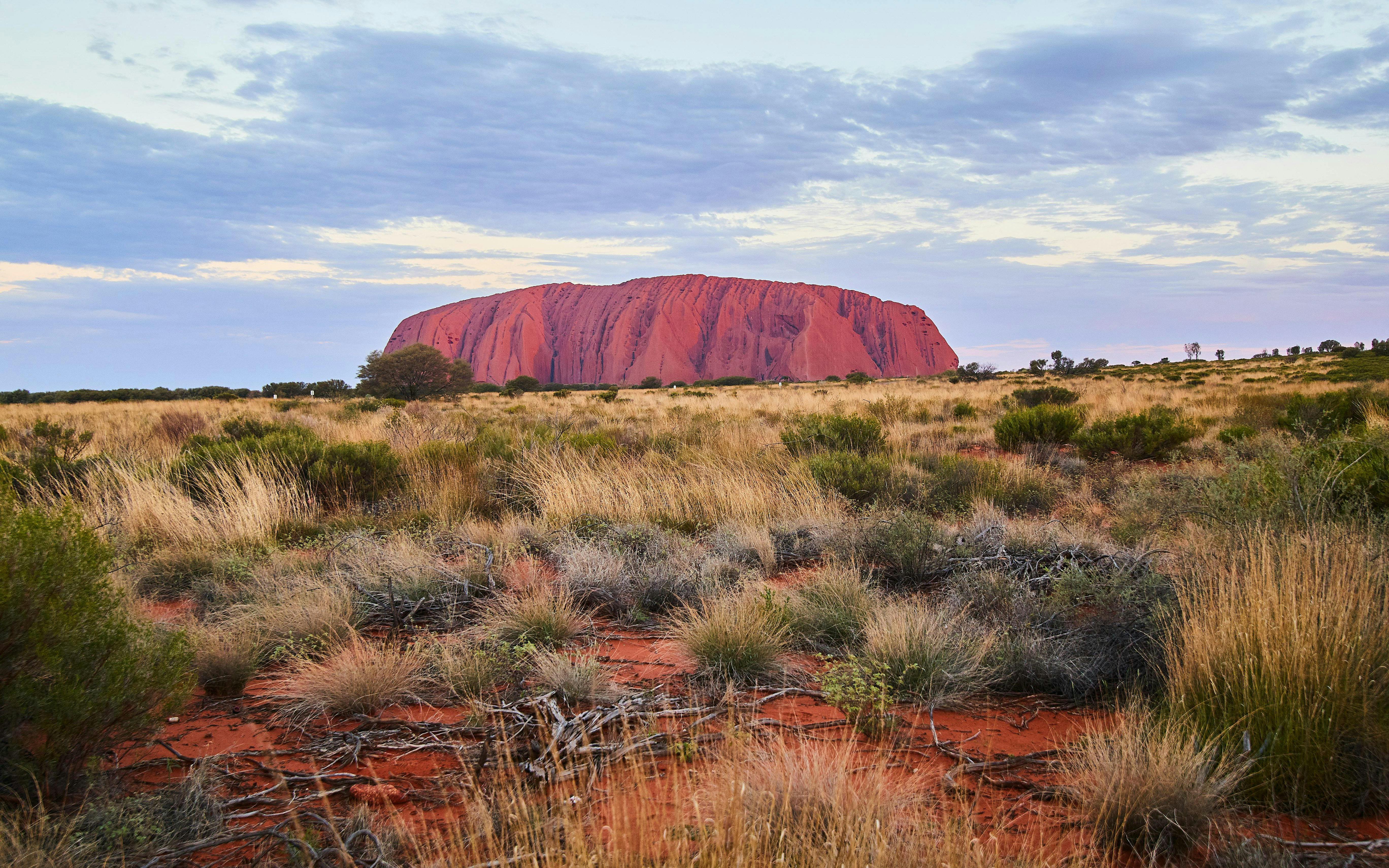 Uluru at sunset with surrounding grassland, Australia.