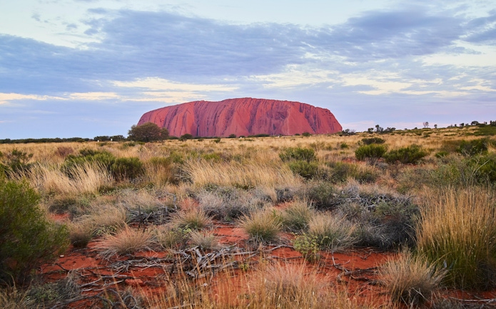 Uluru at sunset with surrounding grassland, Australia.