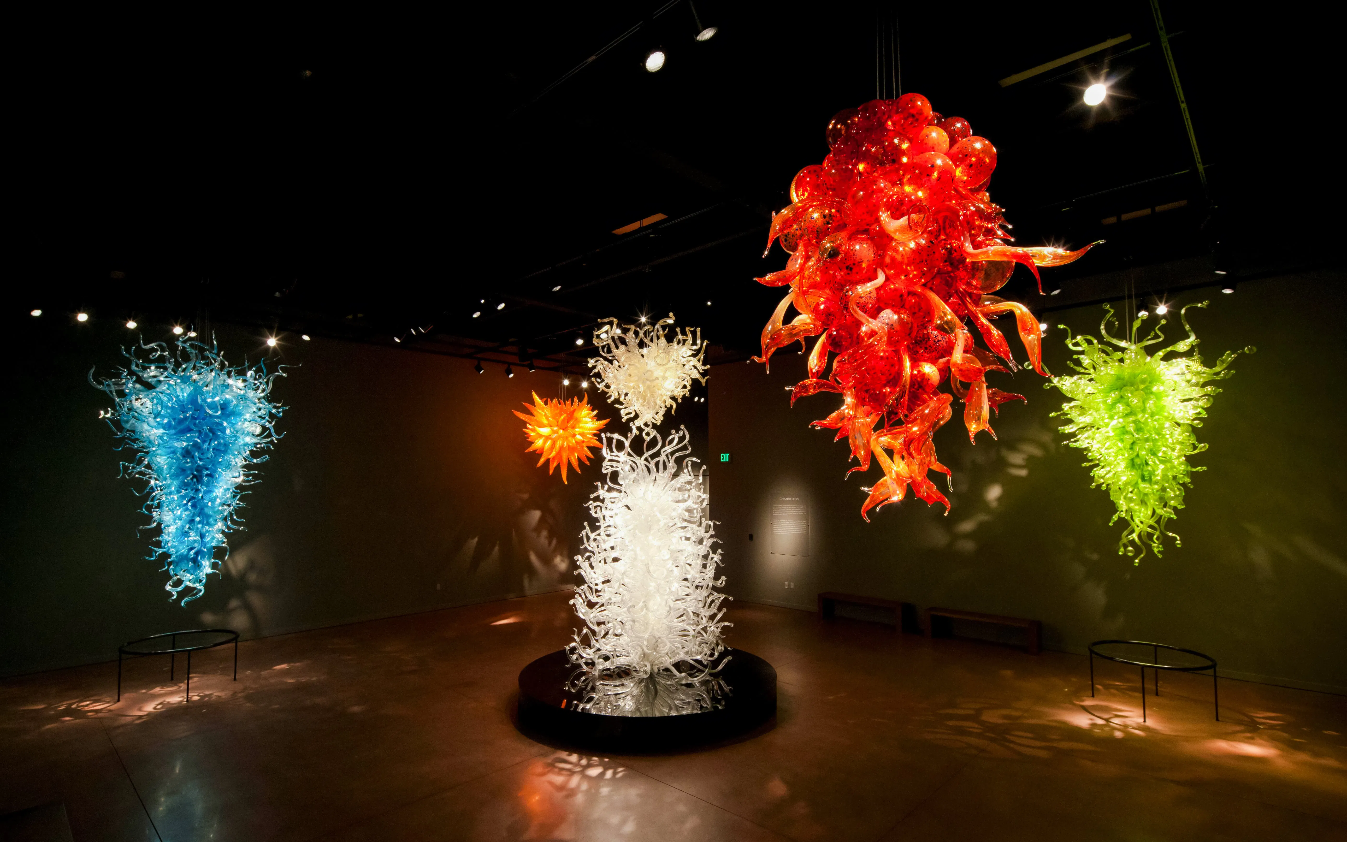 Colorful glass sculptures at Chihuly Garden and Glass, Seattle exhibit.