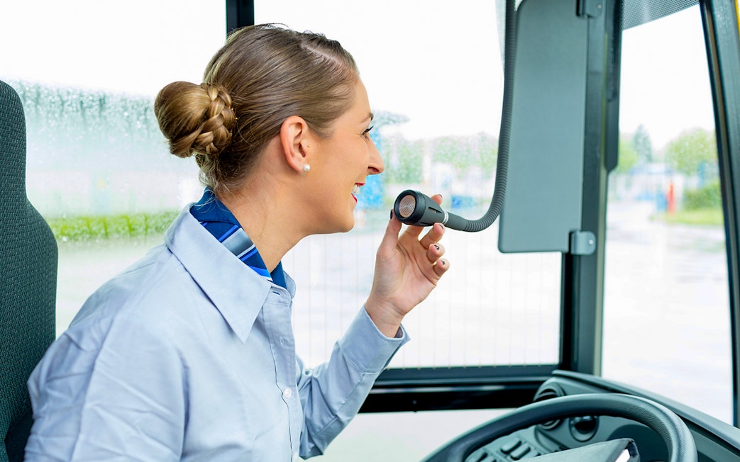 English-speaking guide giving information during the tour
