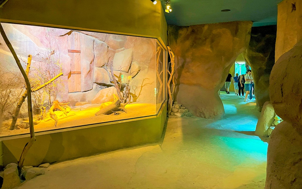 Prague Zoo indoor exhibit with visitors walking through rocky passage.