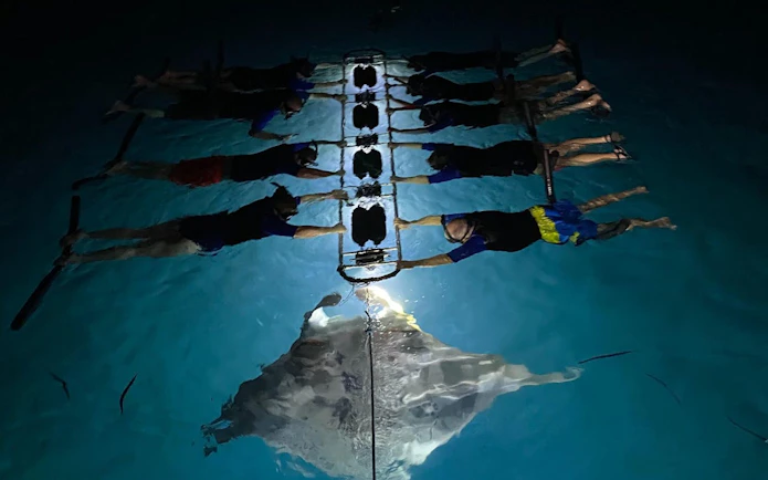 Snorkelers observing a manta ray at night in illuminated water.