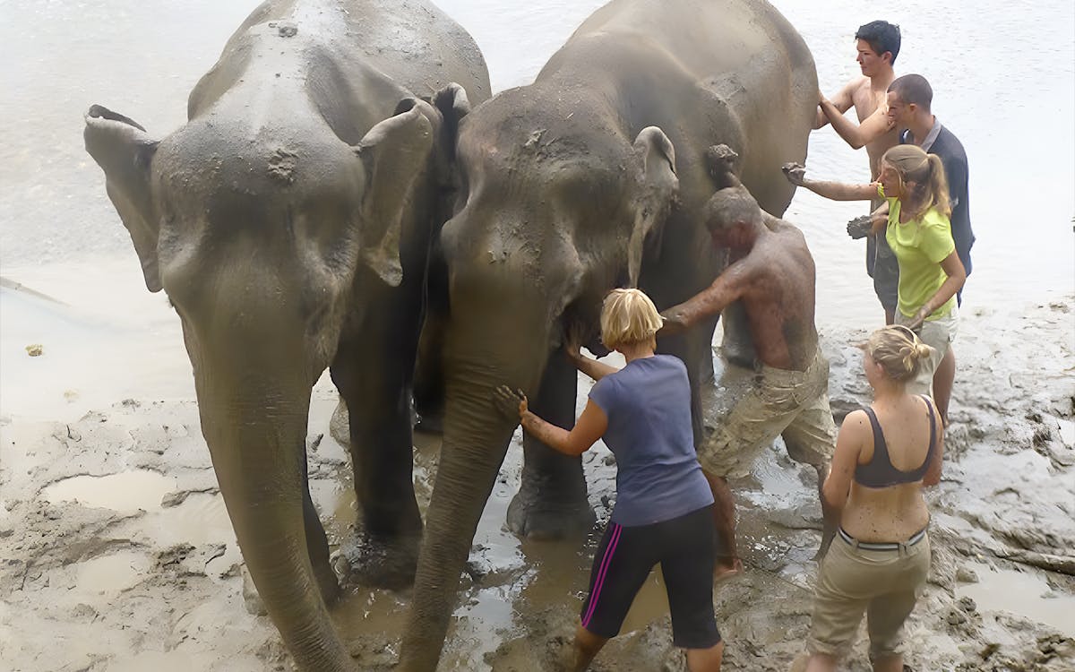 day tour of elephants world camp in kanchanaburi with hotel transfers & meals-7 day tour of elephants world camp in kanchanaburi with hotel transfers & meals-7