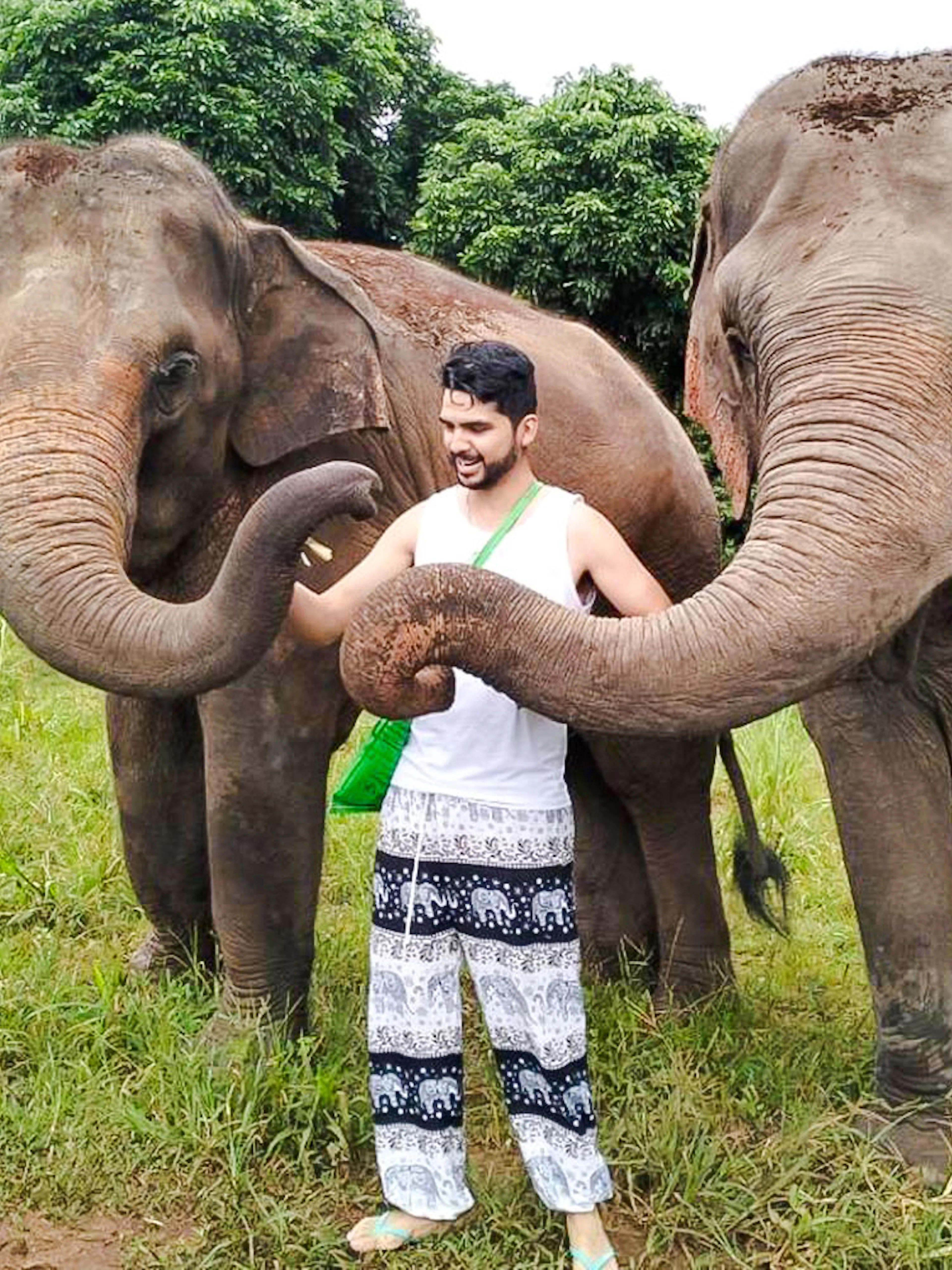 Man interacting with elephants at Chiang Mai Elephant Sanctuary.