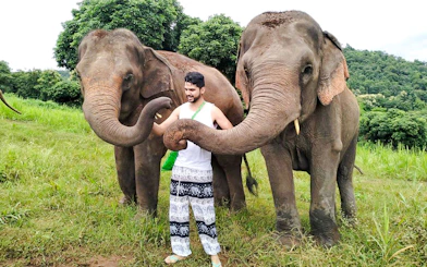 Man interacting with elephants at Chiang Mai Elephant Sanctuary.