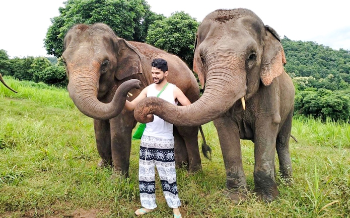 Man interacting with elephants at Chiang Mai Elephant Sanctuary.