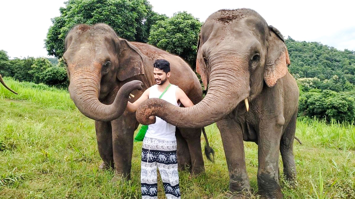 Man interacting with elephants at Chiang Mai Elephant Sanctuary.