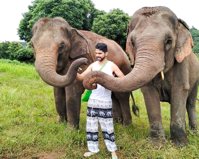 Chiang Mai: Pon Elephant Sanctuary Full-Day Guided Tour with Waterfall Experience