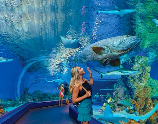 Guest inside the Cairns Aquarium Tunnel