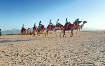 1 saatlik premium çöl deve binme turu - hurghada-6