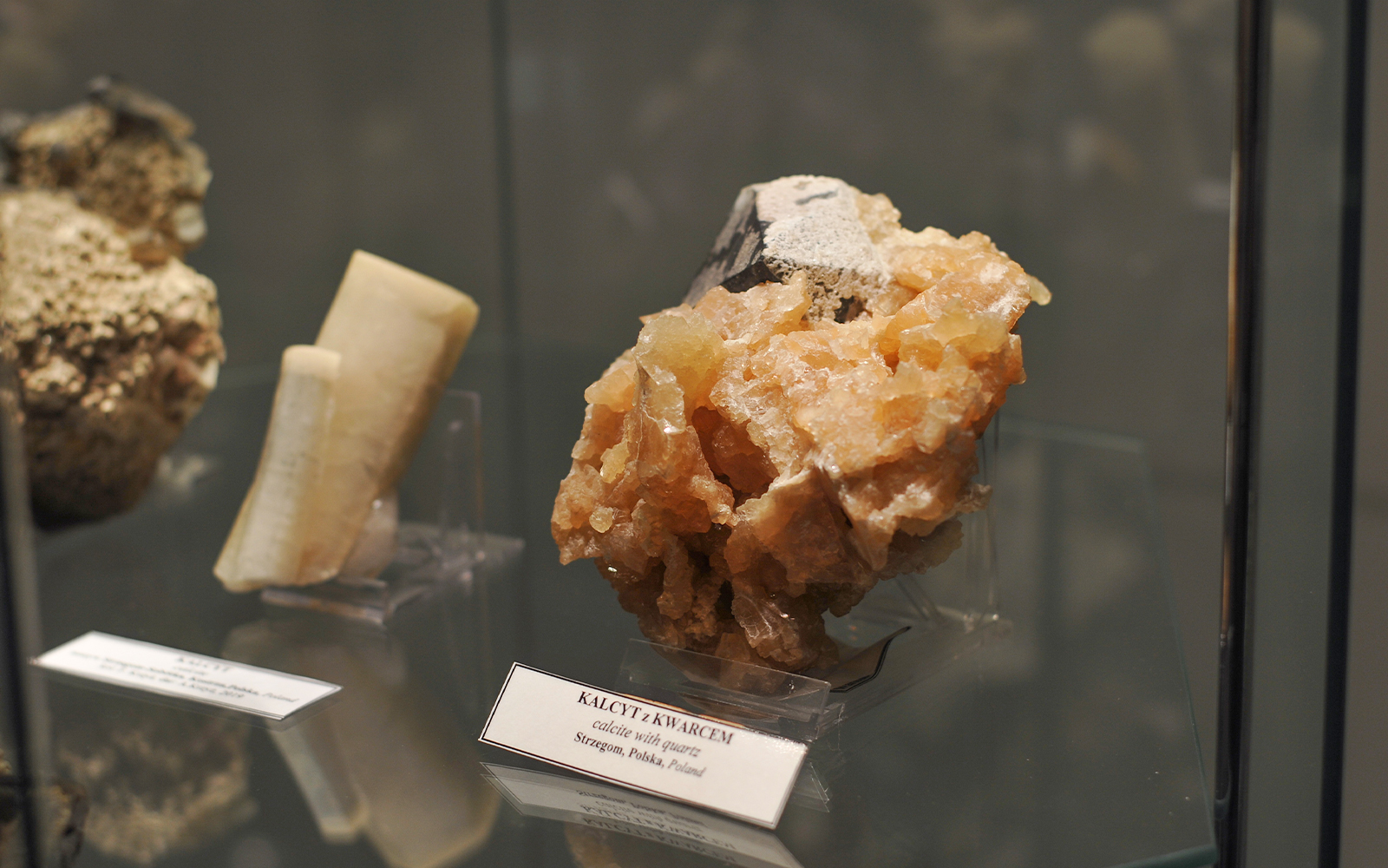 Prague National Museum - Unique Collections