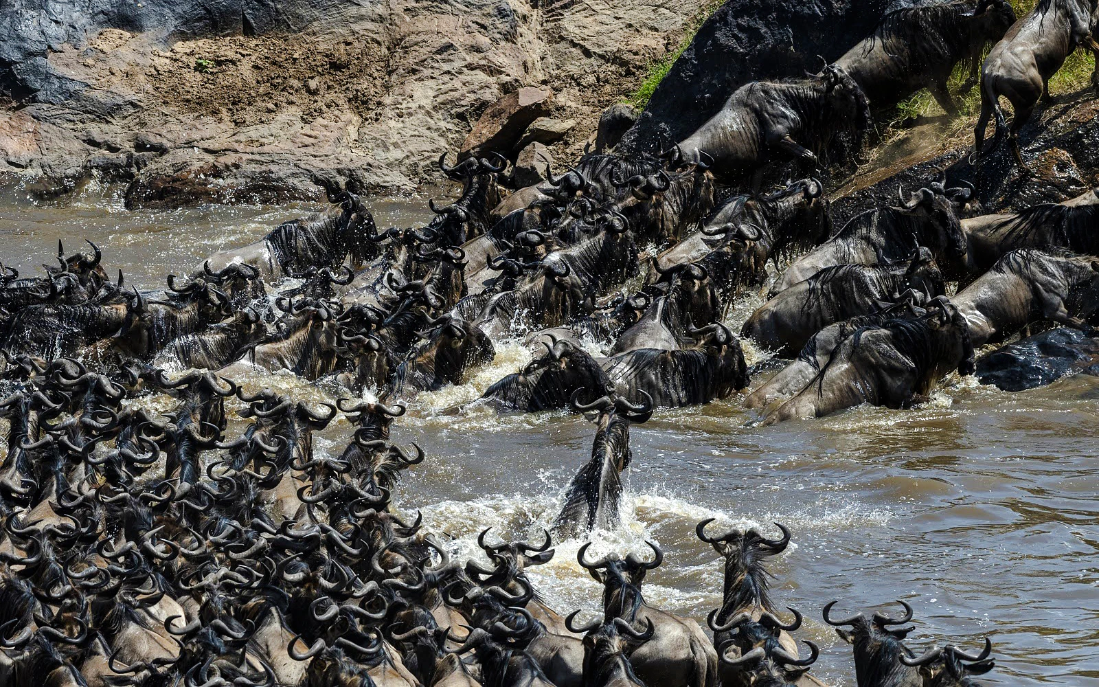4-Day Maasai Mara & Lake Nakuru Safari from Nairobi (Product 56693)