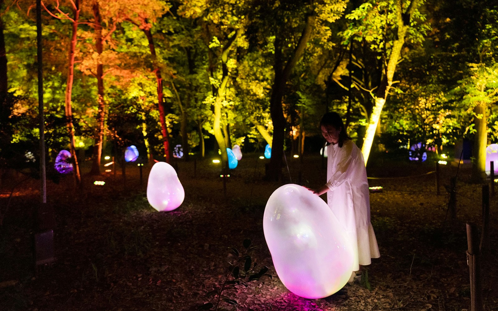 About TeamLab Botanical Garden