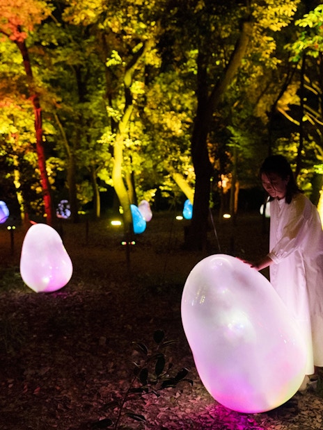 Visitors interacting with glowing digital art at teamLab Botanical Garden, Osaka, Japan.