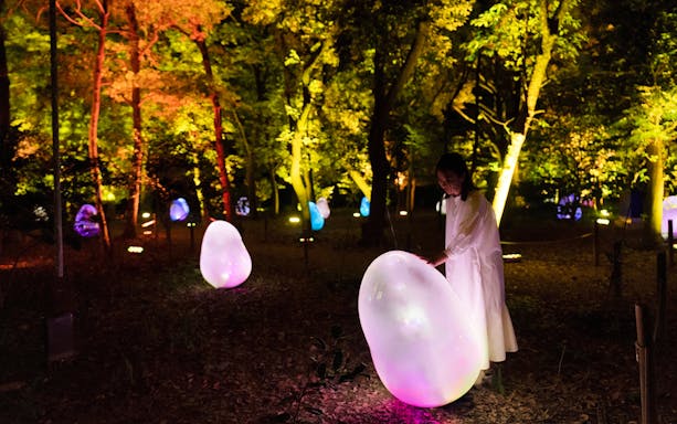 Visitors interacting with glowing digital art at teamLab Botanical Garden, Osaka, Japan.
