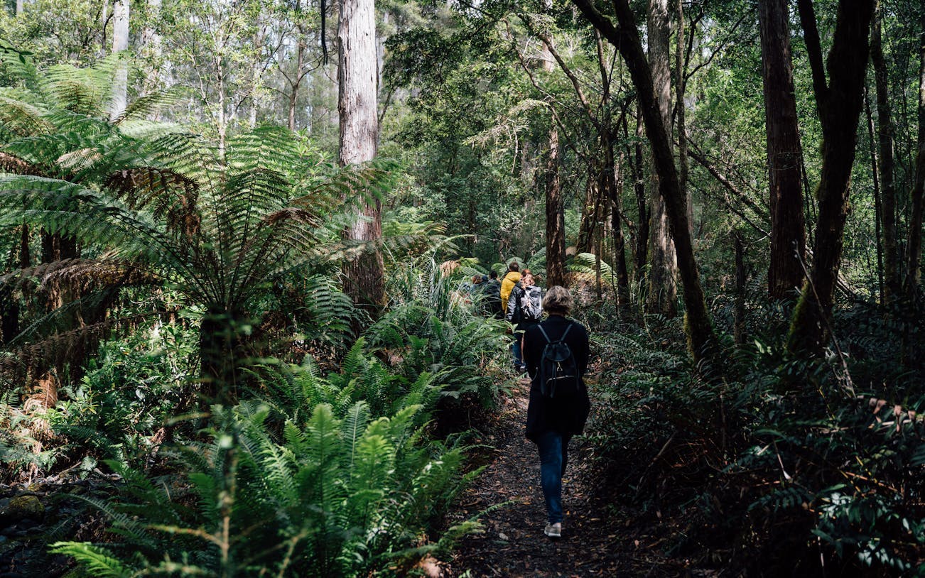 3 day tasmanian highlights bundle 2 – hobart, wineglass bay and bruny island-1