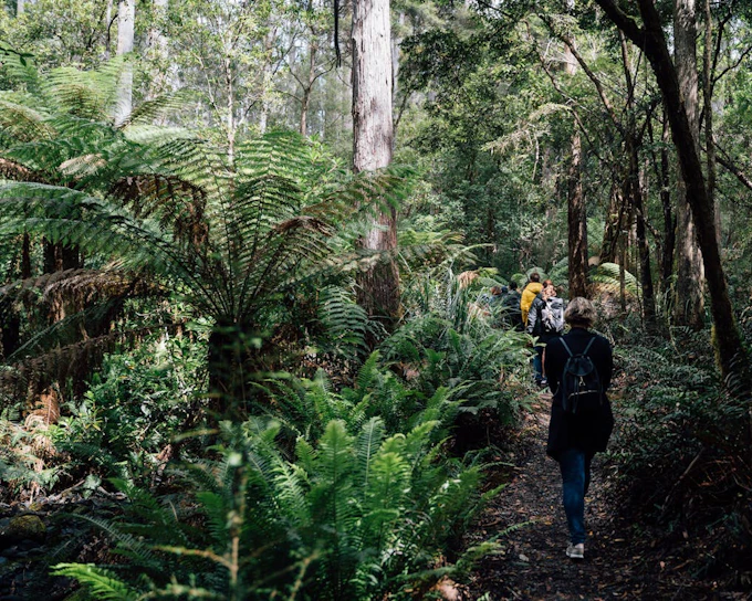 3 Day Tasmanian Highlights Bundle 2 – Hobart, Wineglass Bay and Bruny Island