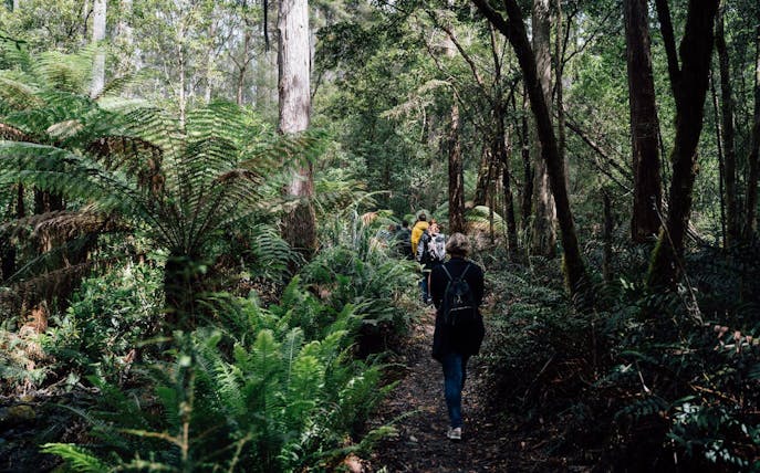3 day tasmanian highlights bundle 2 – hobart, wineglass bay and bruny island-1