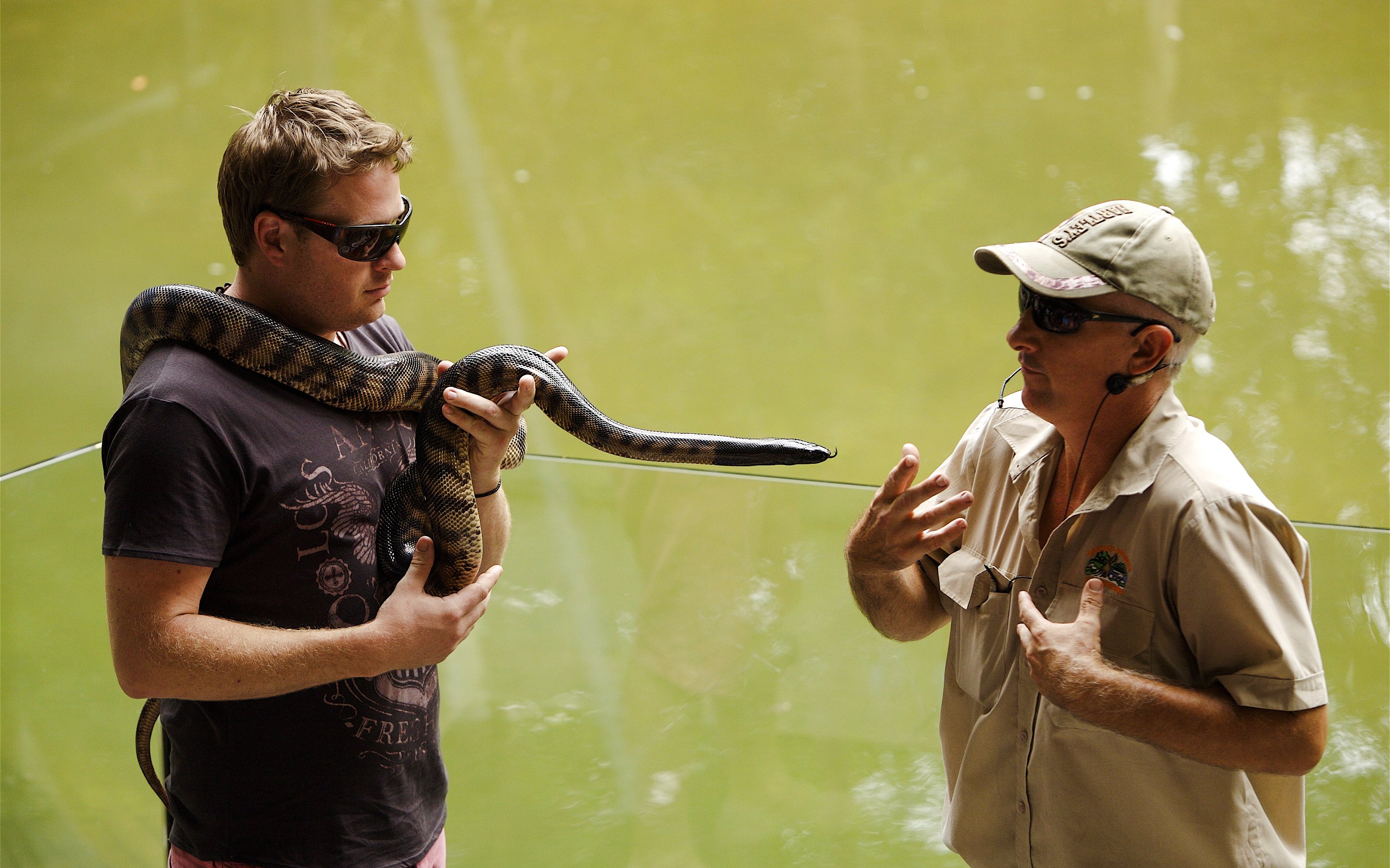 Man holding a snake during a wildlife demonstration at Hartley's Crocodile Adventures.