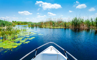 Boat navigating through water lilies and reeds in Danube Delta, Romania.