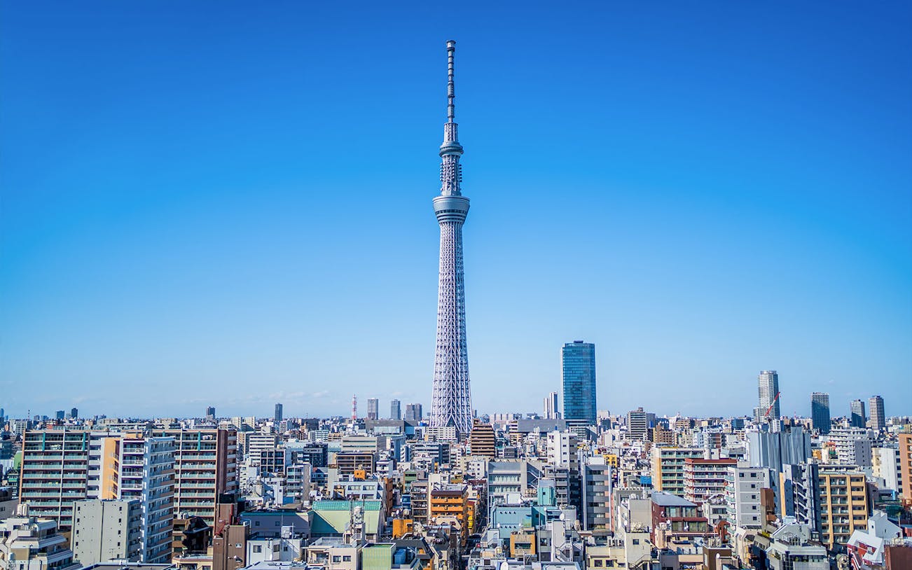 Tokyo Skytree towering over cityscape on Panoramic Tokyo 1 Day Bus Tour.