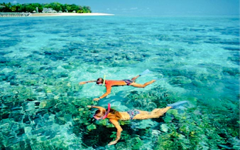 cham island snorkeling tour with lunch from da nang or hoi an-6
