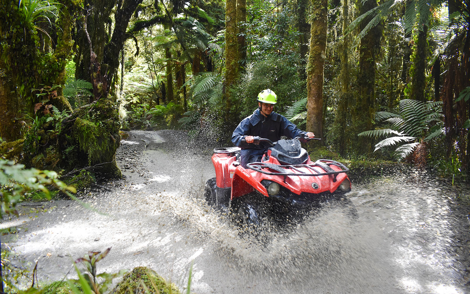Quad biking through forest trail at Franz Josef, New Zealand.
