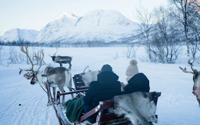 Reindeer Sledding & Sami Culture Guided Tour with Hot Drinks & Meal