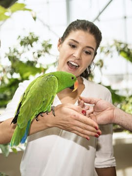 The Green Planet Dubai